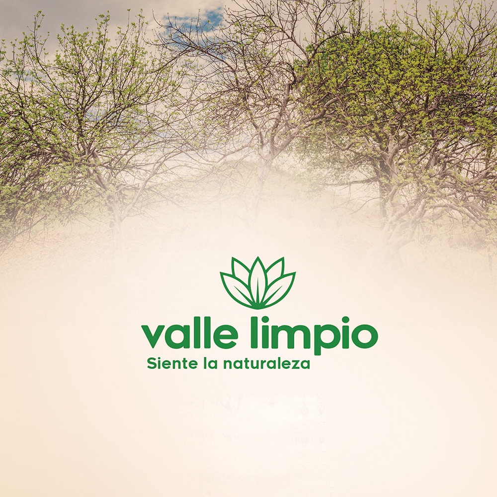 ACEITE ESENCIAL DE PALO SANTO - VALLE LIMPIO